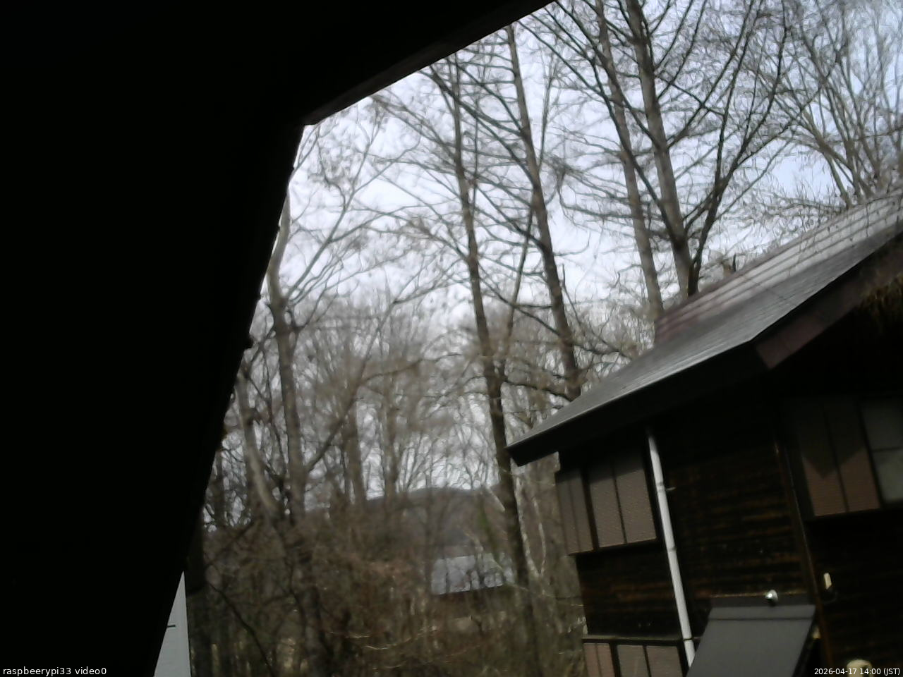 長野県菅平高原 ゆたか山荘 北側 2026/04/17 14:00