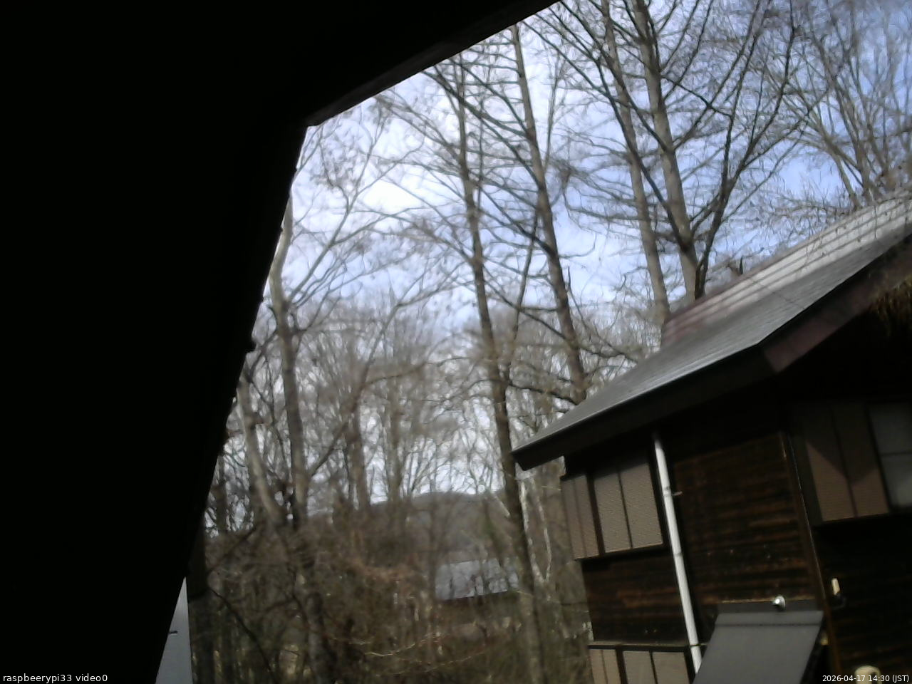 長野県菅平高原 ゆたか山荘 北側 2026/04/17 14:30