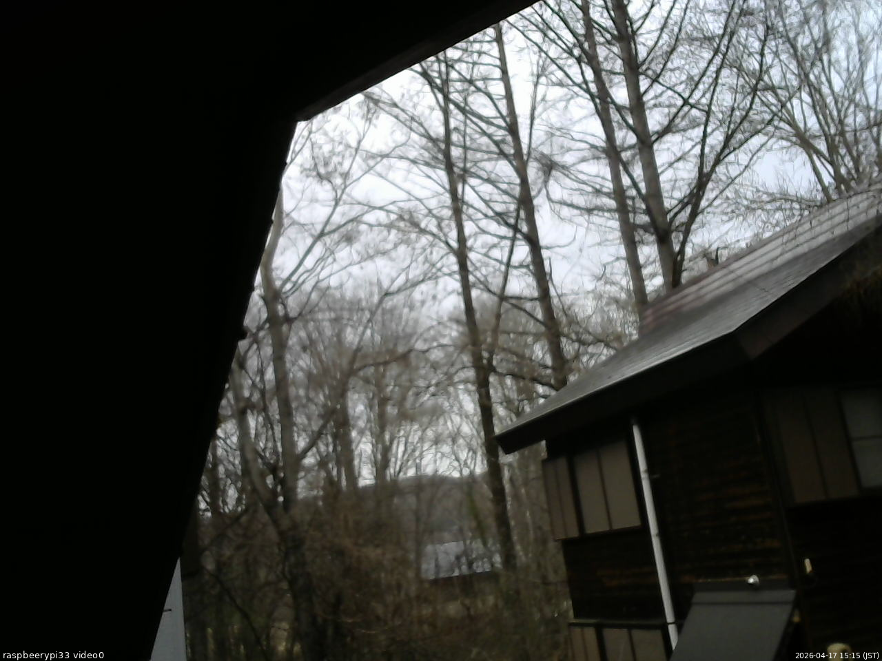 長野県菅平高原 ゆたか山荘 北側 2026/04/17 15:15