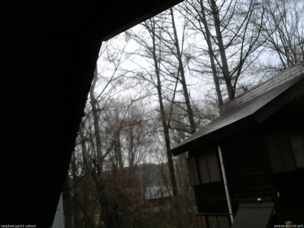 長野県菅平高原 ゆたか山荘 北側 2026/04/17 17:45