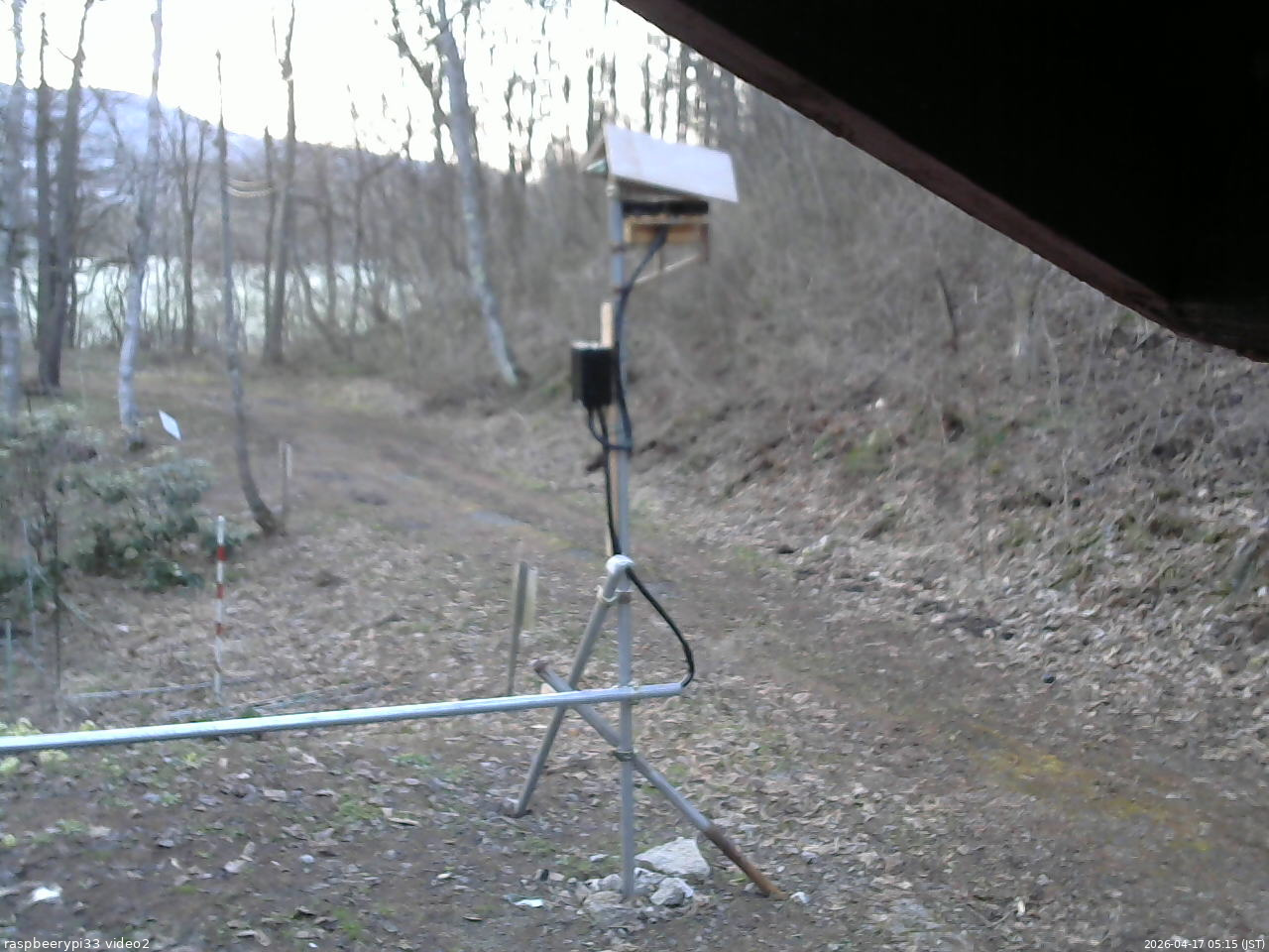 長野県菅平高原 ゆたか山荘 南側 2026/04/17 05:15