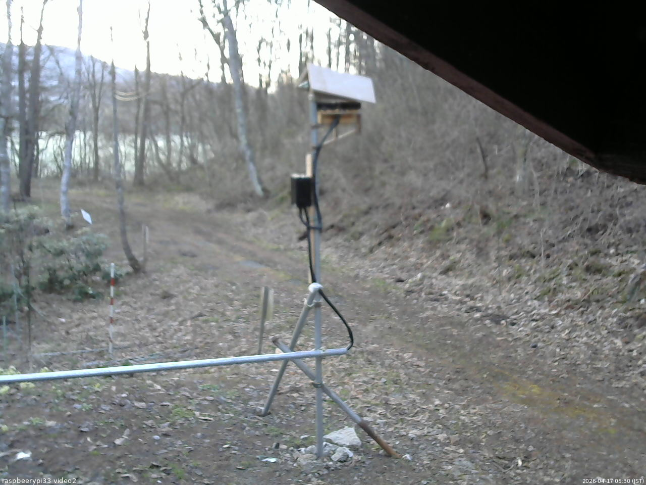 長野県菅平高原 ゆたか山荘 南側 2026/04/17 05:30