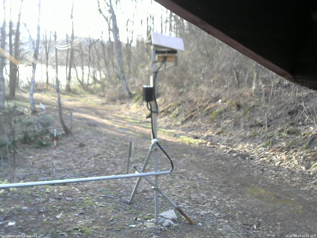 長野県菅平高原 ゆたか山荘 南側 2026/04/17 06:00