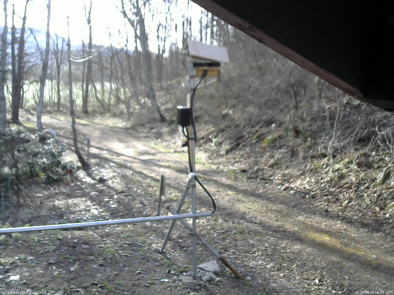 長野県菅平高原 ゆたか山荘 南側 2026/04/17 06:45