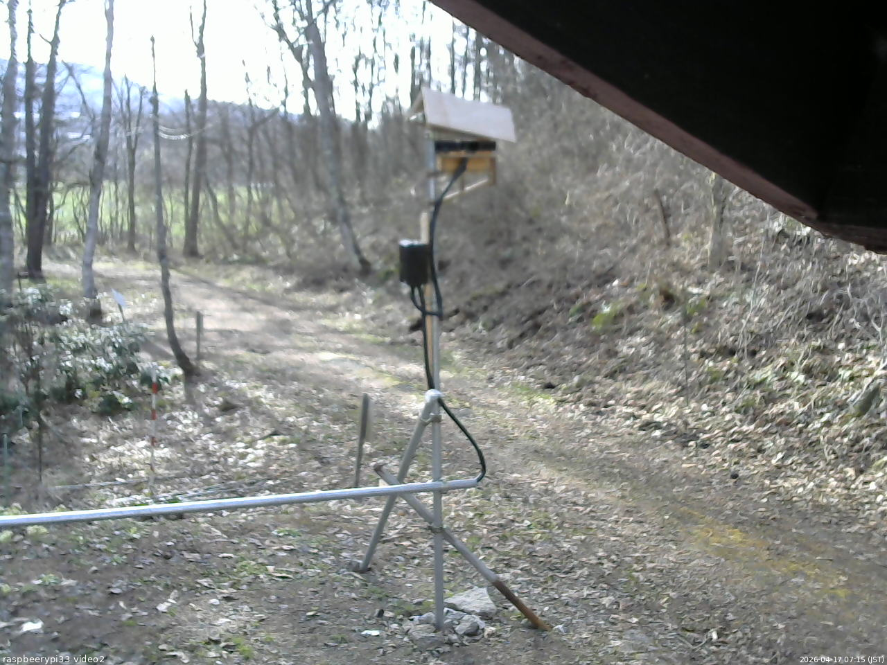 長野県菅平高原 ゆたか山荘 南側 2026/04/17 07:15