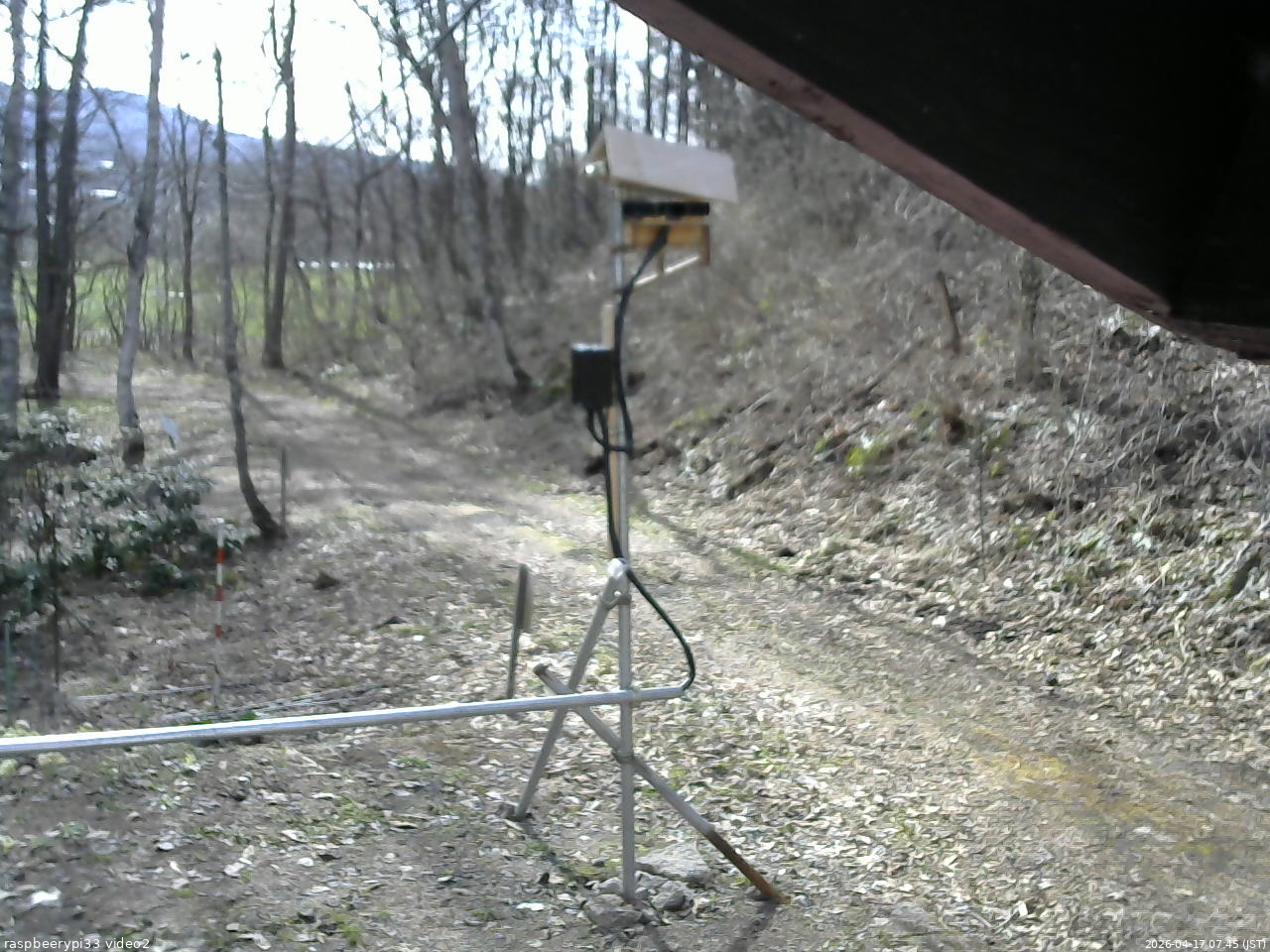 長野県菅平高原 ゆたか山荘 南側 2026/04/17 07:45
