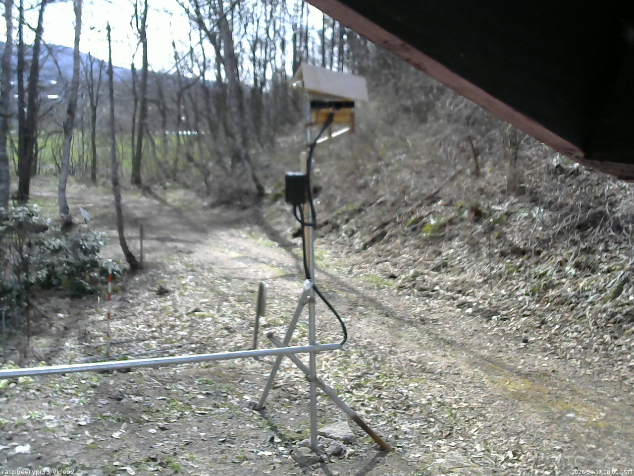 長野県菅平高原 ゆたか山荘 南側 2026/04/17 08:00
