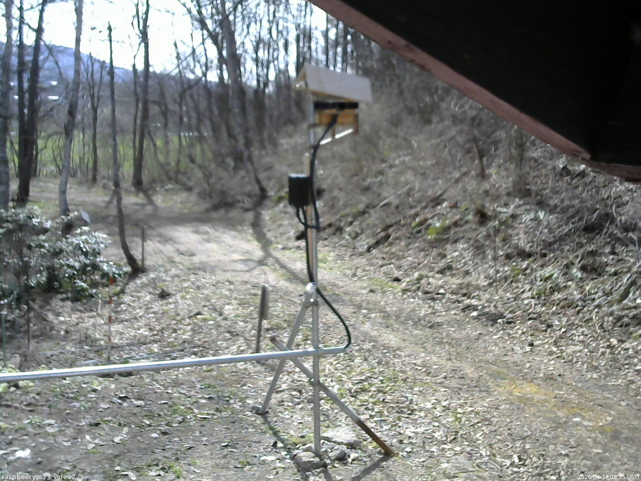 長野県菅平高原 ゆたか山荘 南側 2026/04/17 08:15