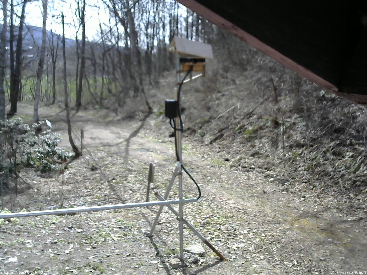 長野県菅平高原 ゆたか山荘 南側 2026/04/17 08:45