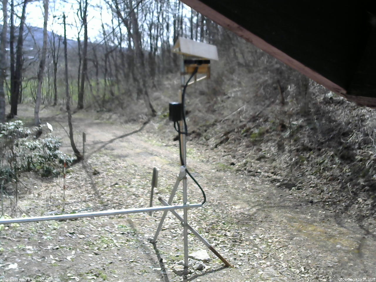 長野県菅平高原 ゆたか山荘 南側 2026/04/17 09:15