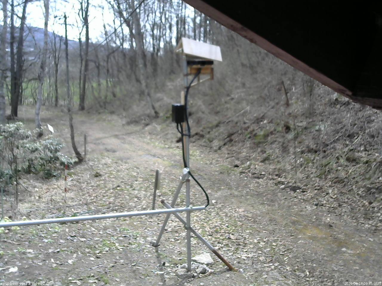 長野県菅平高原 ゆたか山荘 南側 2026/04/17 09:45
