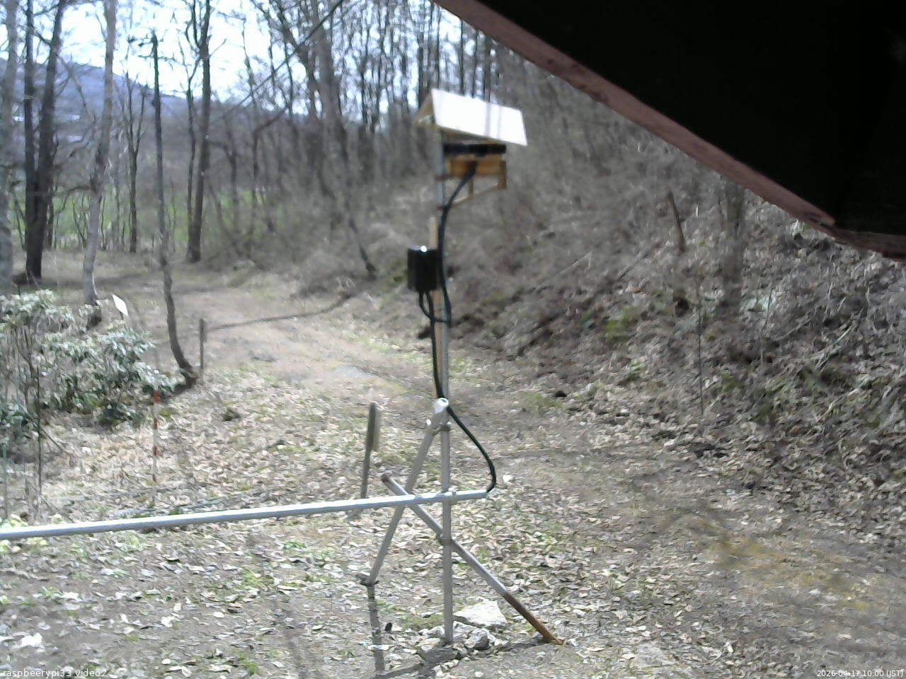 長野県菅平高原 ゆたか山荘 南側 2026/04/17 10:00