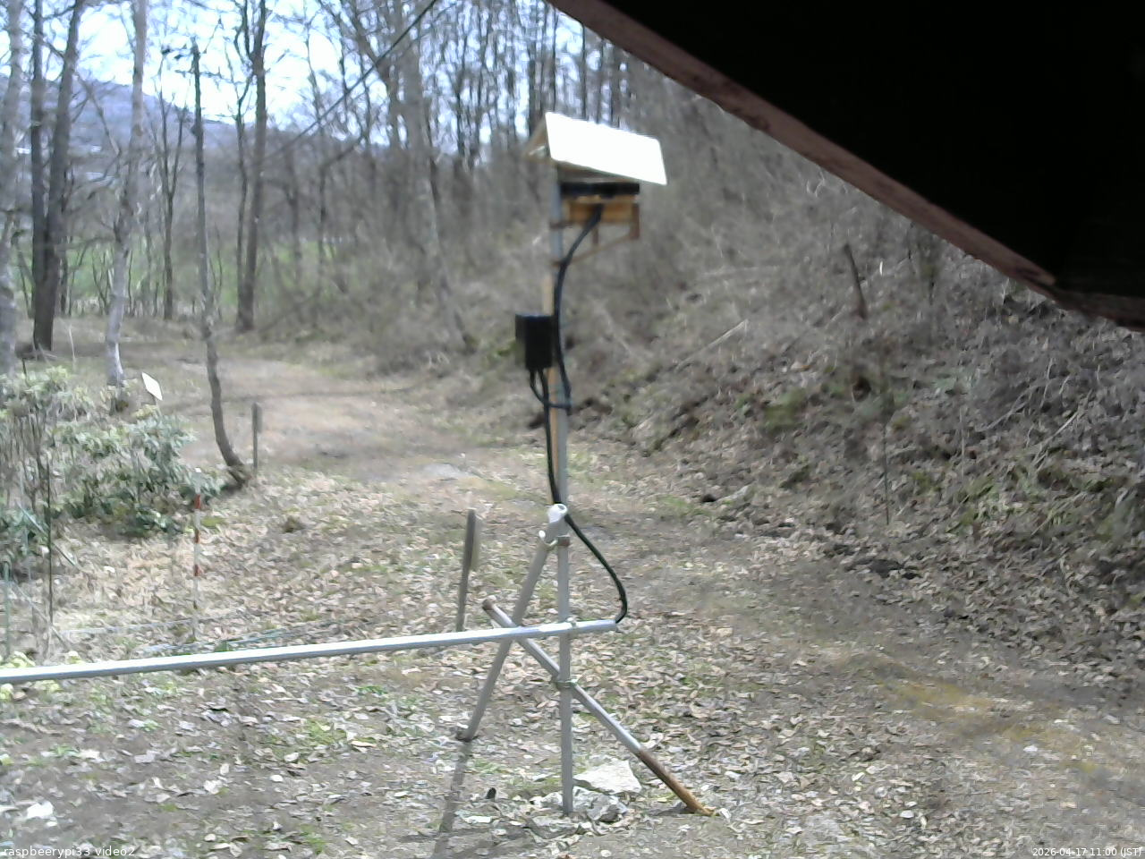 長野県菅平高原 ゆたか山荘 南側 2026/04/17 11:00