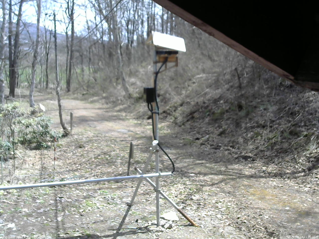 長野県菅平高原 ゆたか山荘 南側 2026/04/17 11:30