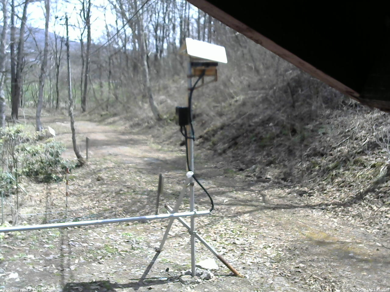長野県菅平高原 ゆたか山荘 南側 2026/04/17 11:45