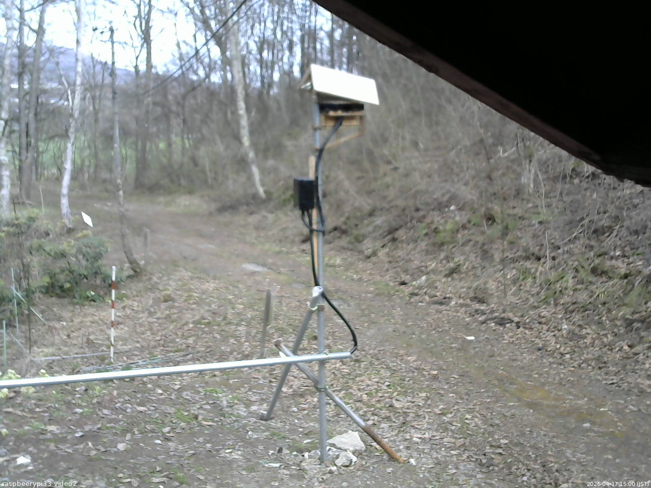 長野県菅平高原 ゆたか山荘 南側 2026/04/17 15:00