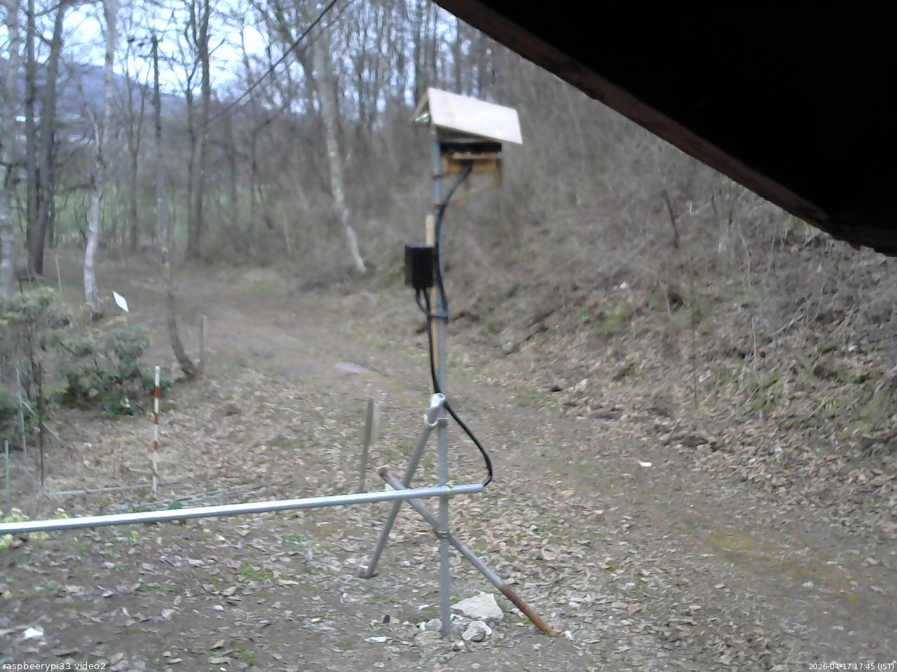 長野県菅平高原 ゆたか山荘 南側 2026/04/17 17:45
