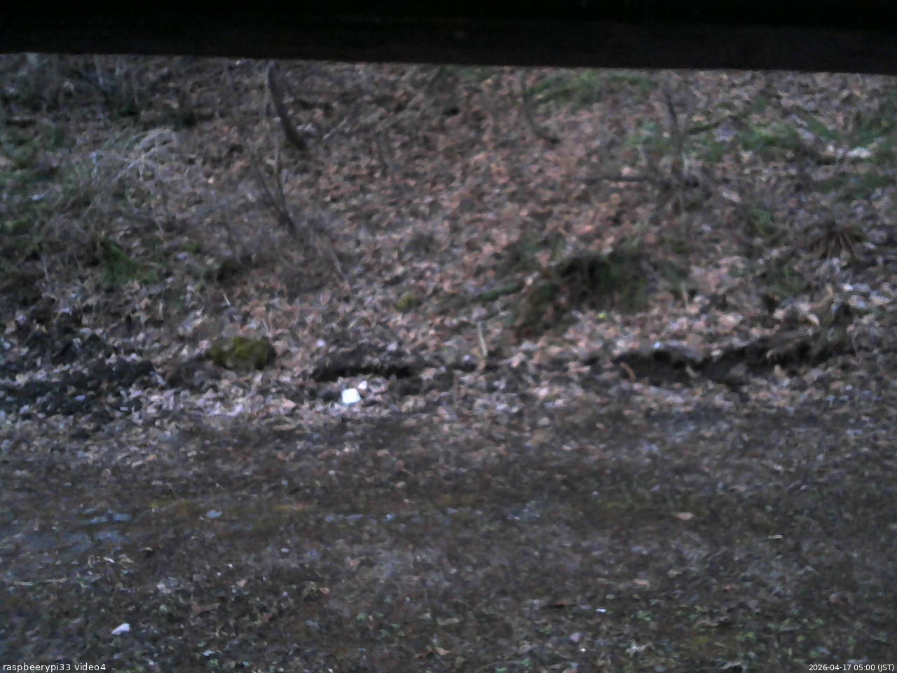 長野県菅平高原 ゆたか山荘 東側(坂下) 2026/04/17 05:00