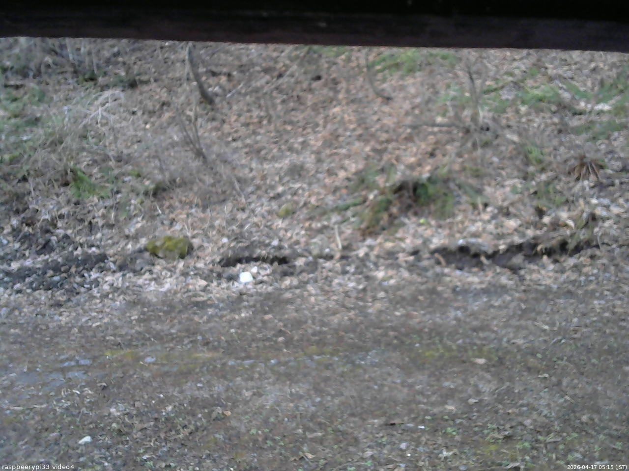 長野県菅平高原 ゆたか山荘 東側(坂下) 2026/04/17 05:15