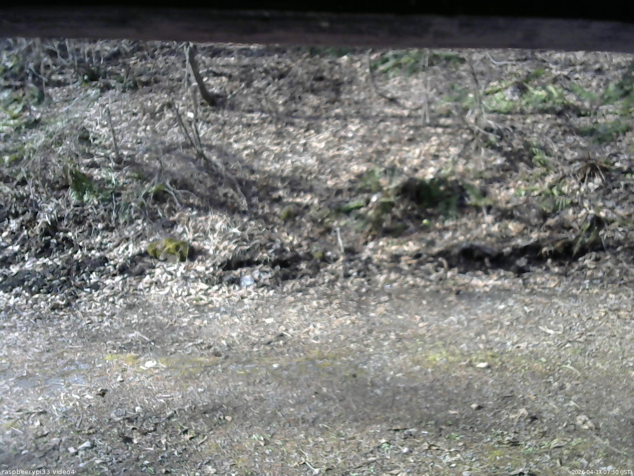 長野県菅平高原 ゆたか山荘 東側(坂下) 2026/04/17 07:30