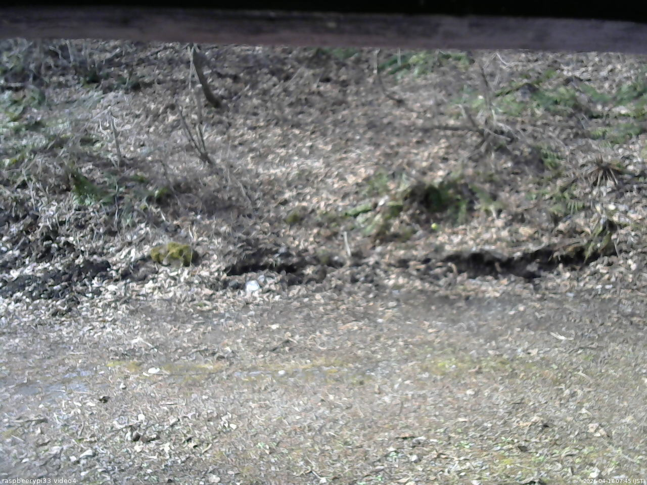 長野県菅平高原 ゆたか山荘 東側(坂下) 2026/04/17 07:45