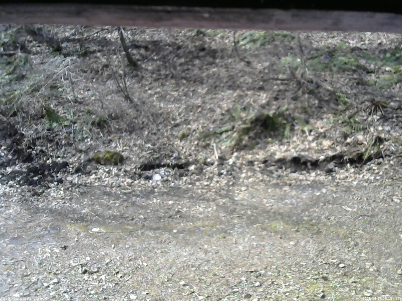 長野県菅平高原 ゆたか山荘 東側(坂下) 2026/04/17 08:15