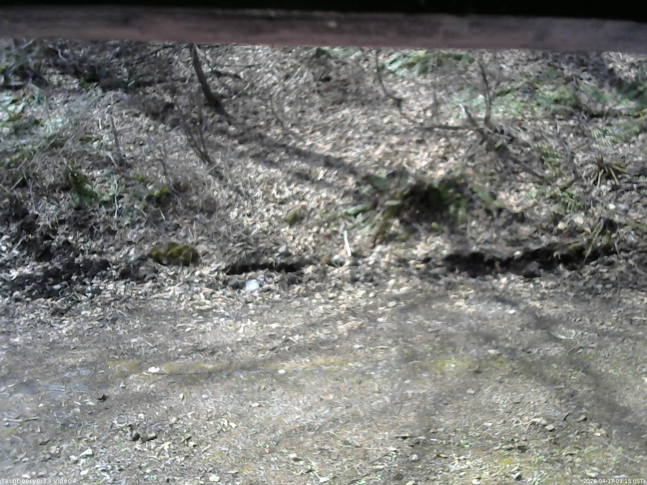 長野県菅平高原 ゆたか山荘 東側(坂下) 2026/04/17 09:15