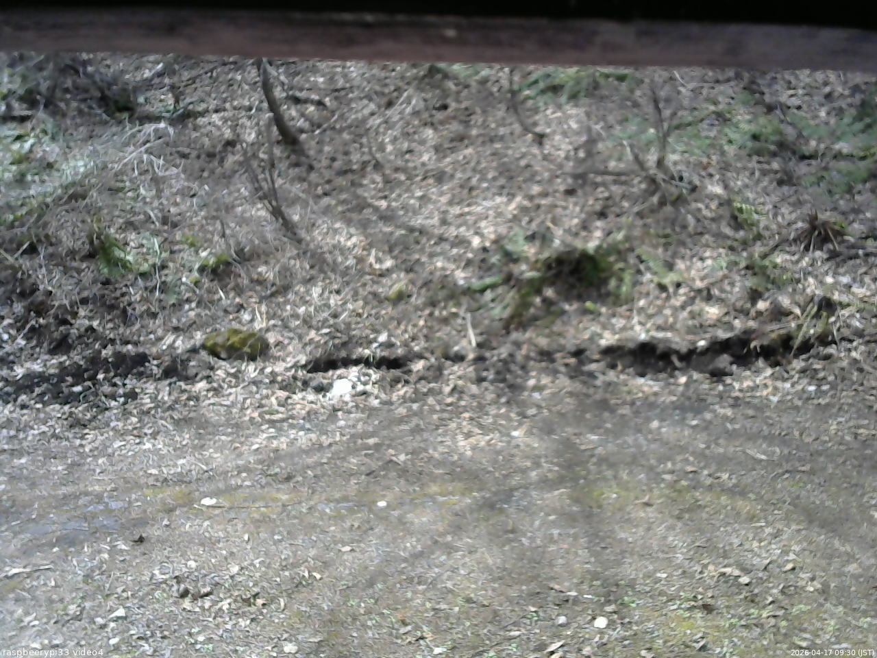 長野県菅平高原 ゆたか山荘 東側(坂下) 2026/04/17 09:30