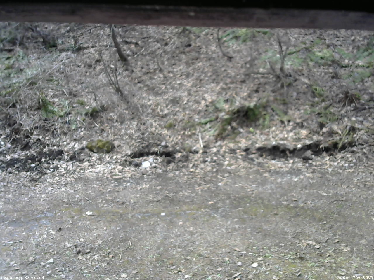 長野県菅平高原 ゆたか山荘 東側(坂下) 2026/04/17 09:45
