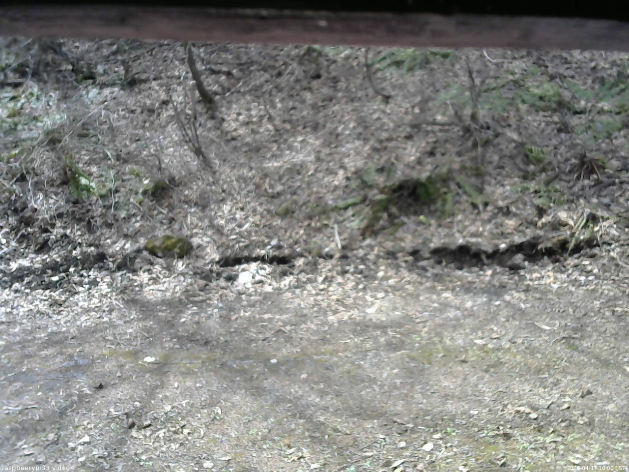 長野県菅平高原 ゆたか山荘 東側(坂下) 2026/04/17 10:00