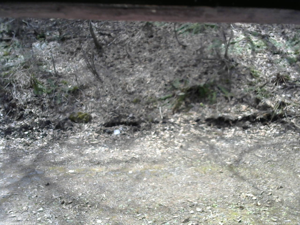長野県菅平高原 ゆたか山荘 東側(坂下) 2026/04/17 10:15