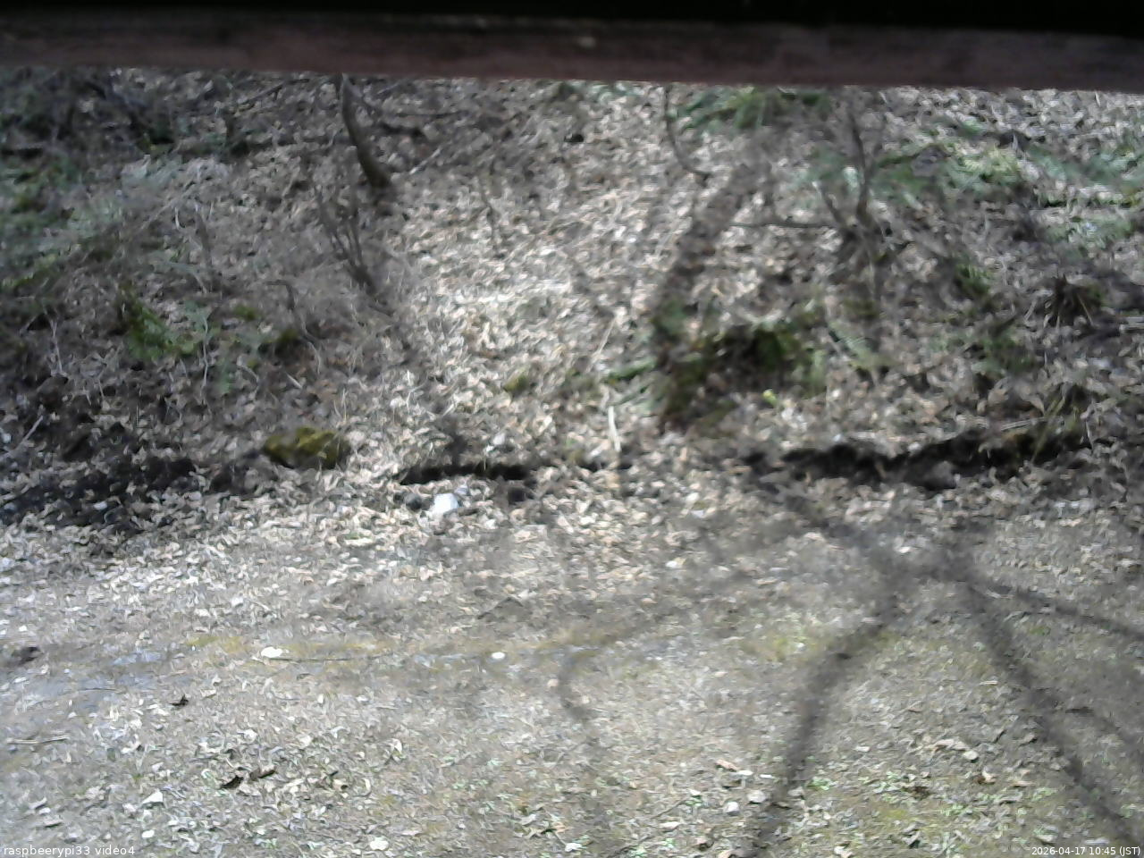 長野県菅平高原 ゆたか山荘 東側(坂下) 2026/04/17 10:45