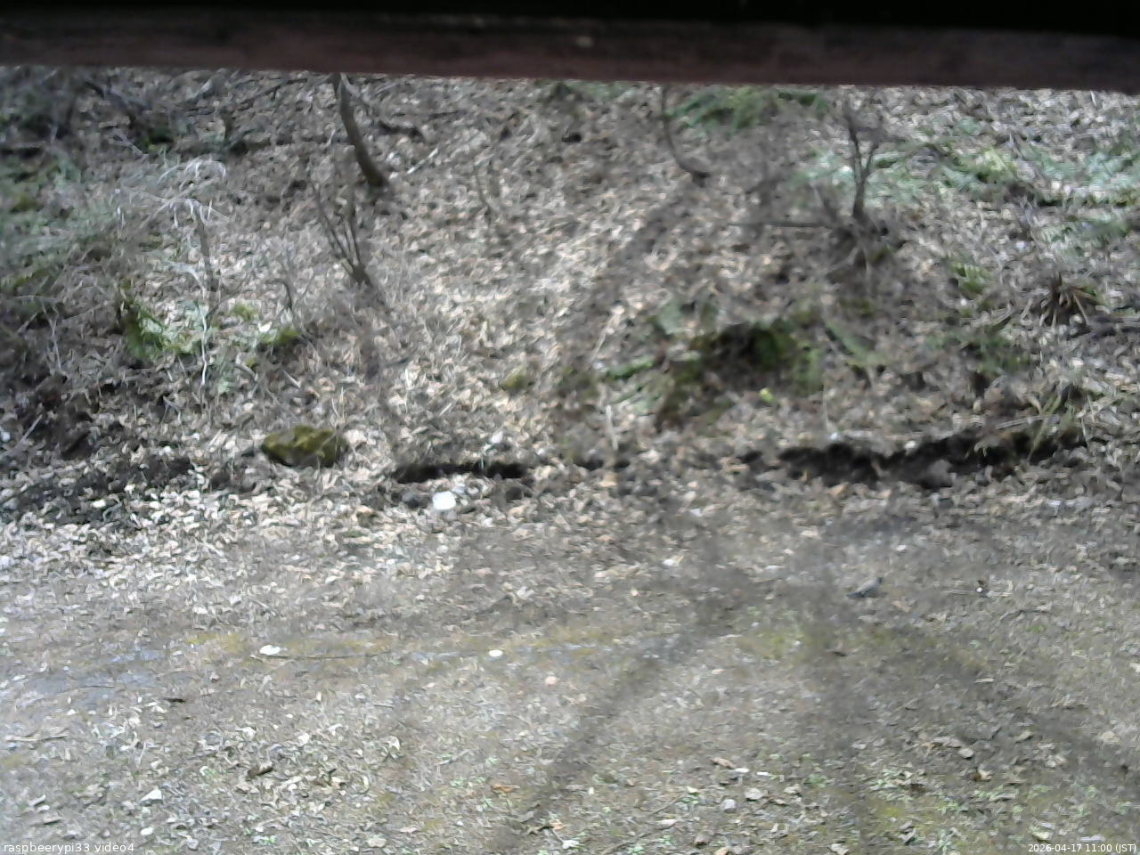 長野県菅平高原 ゆたか山荘 東側(坂下) 2026/04/17 11:00