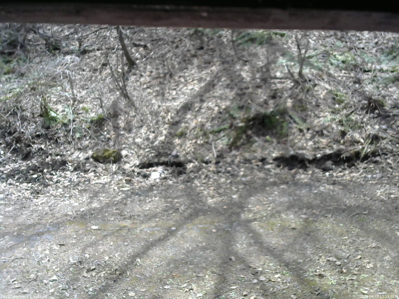 長野県菅平高原 ゆたか山荘 東側(坂下) 2026/04/17 11:15