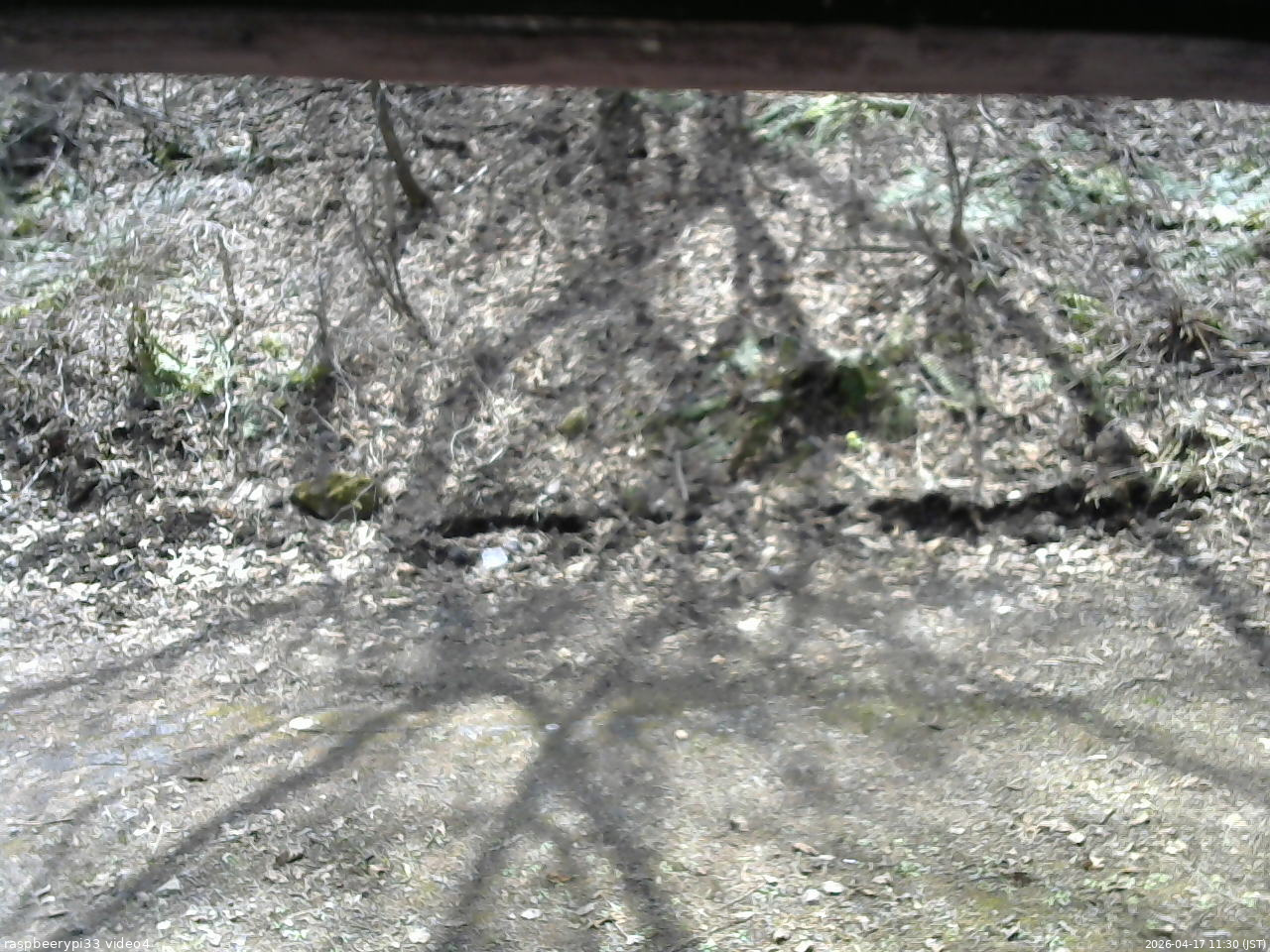 長野県菅平高原 ゆたか山荘 東側(坂下) 2026/04/17 11:30