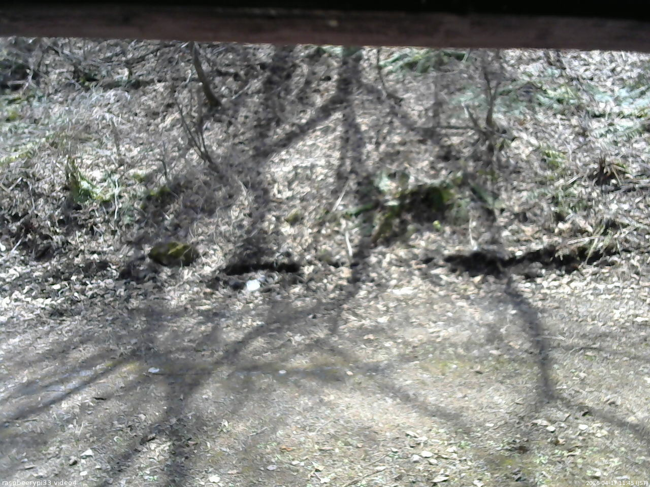 長野県菅平高原 ゆたか山荘 東側(坂下) 2026/04/17 11:45