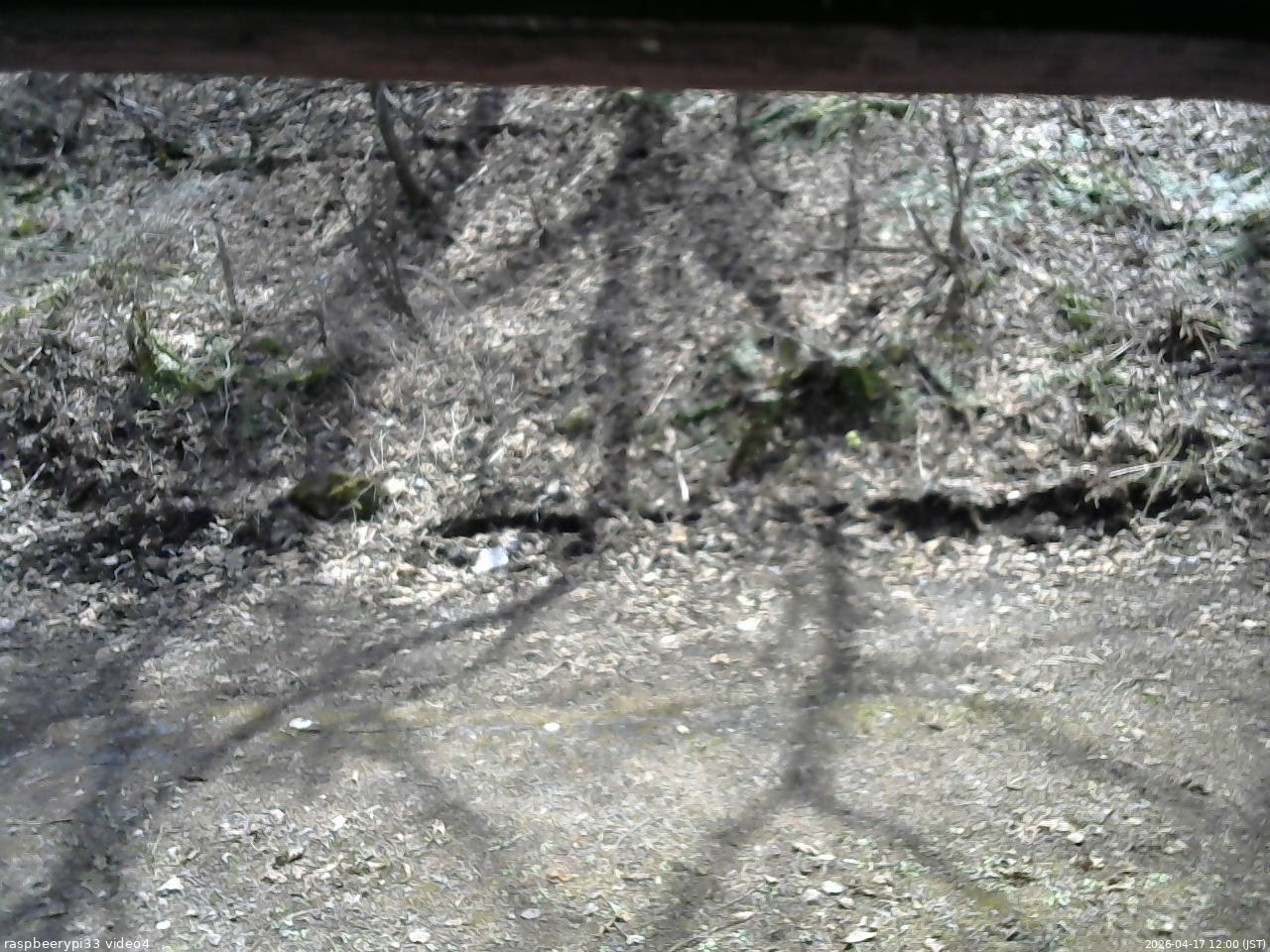 長野県菅平高原 ゆたか山荘 東側(坂下) 2026/04/17 12:00