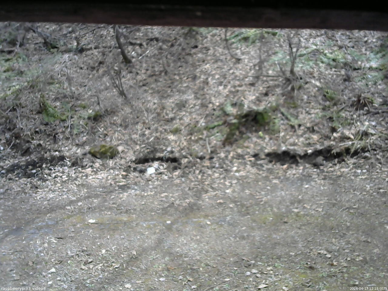 長野県菅平高原 ゆたか山荘 東側(坂下) 2026/04/17 12:15