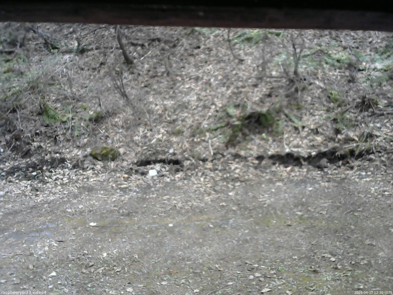 長野県菅平高原 ゆたか山荘 東側(坂下) 2026/04/17 12:30