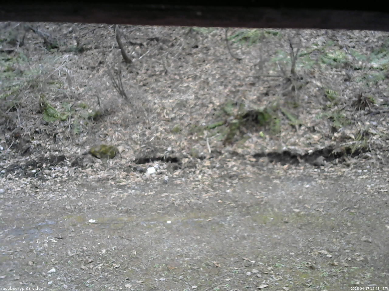 長野県菅平高原 ゆたか山荘 東側(坂下) 2026/04/17 12:45