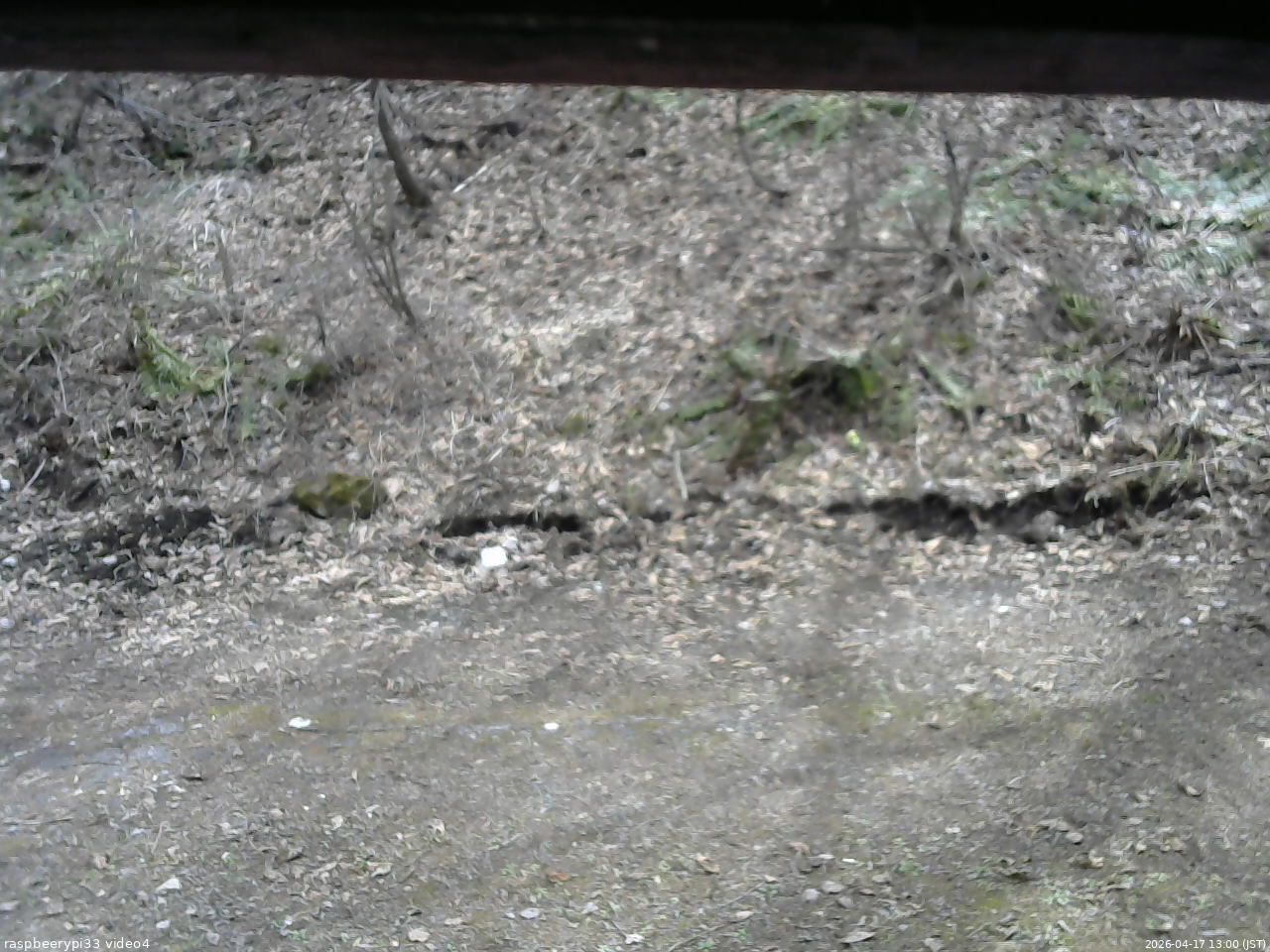 長野県菅平高原 ゆたか山荘 東側(坂下) 2026/04/17 13:00