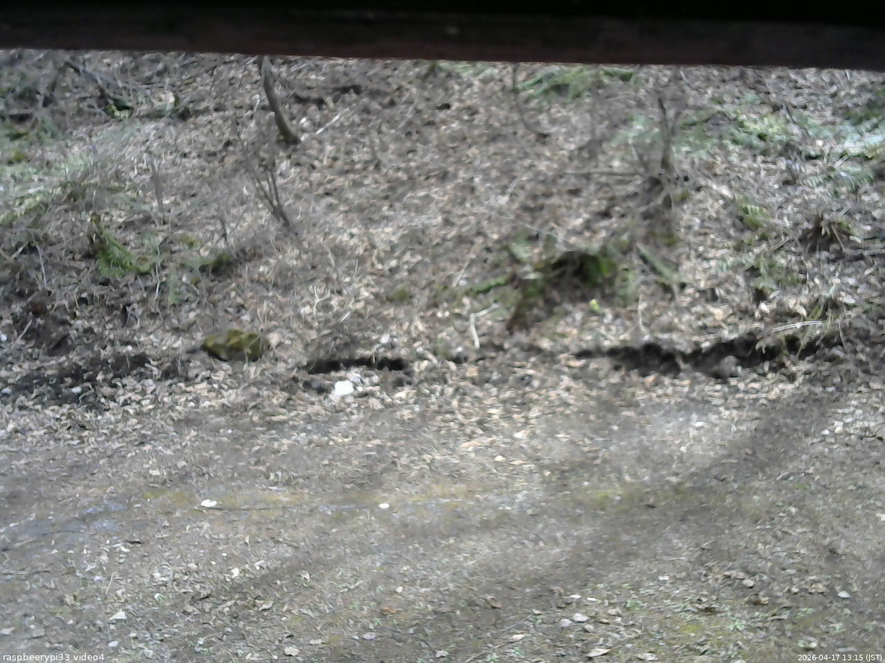 長野県菅平高原 ゆたか山荘 東側(坂下) 2026/04/17 13:15