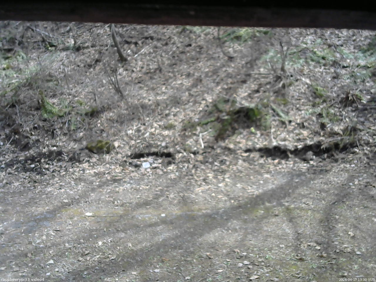 長野県菅平高原 ゆたか山荘 東側(坂下) 2026/04/17 13:30