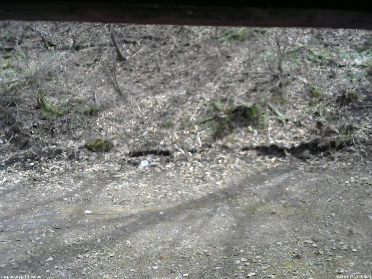 長野県菅平高原 ゆたか山荘 東側(坂下) 2026/04/17 13:45