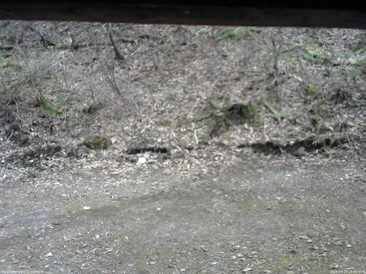 長野県菅平高原 ゆたか山荘 東側(坂下) 2026/04/17 14:00