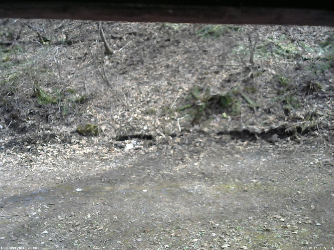 長野県菅平高原 ゆたか山荘 東側(坂下) 2026/04/17 14:15