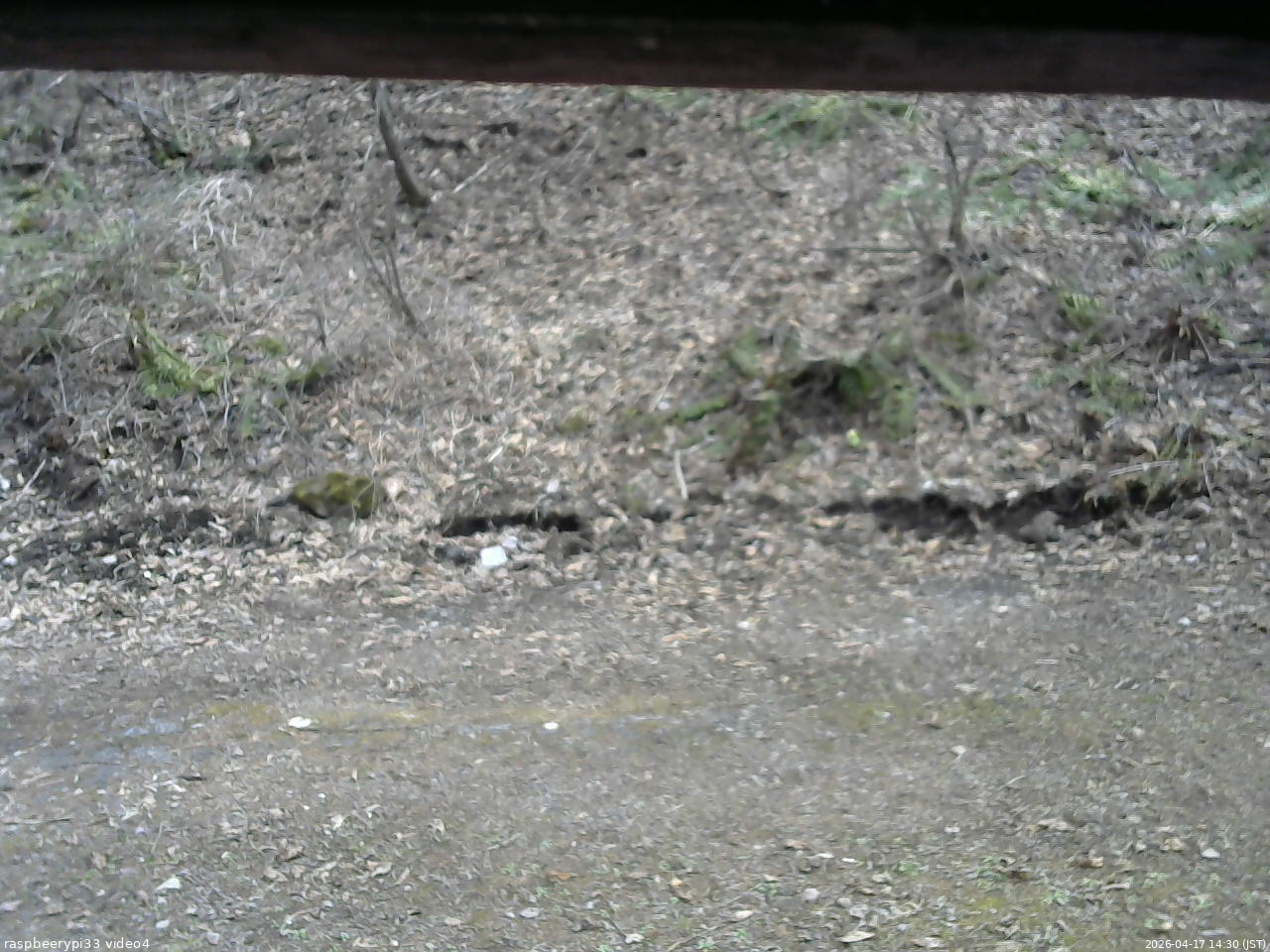 長野県菅平高原 ゆたか山荘 東側(坂下) 2026/04/17 14:30