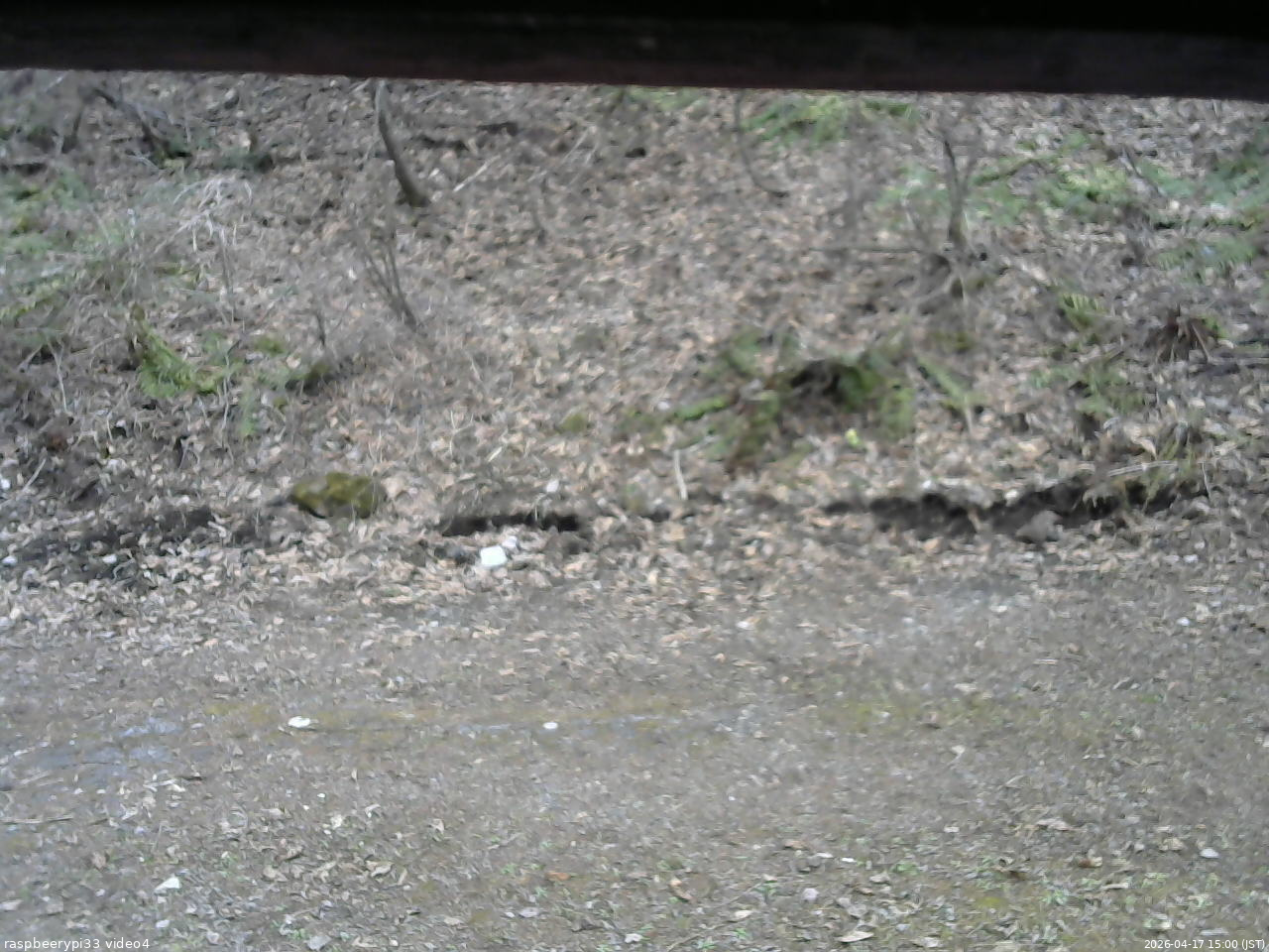 長野県菅平高原 ゆたか山荘 東側(坂下) 2026/04/17 15:00