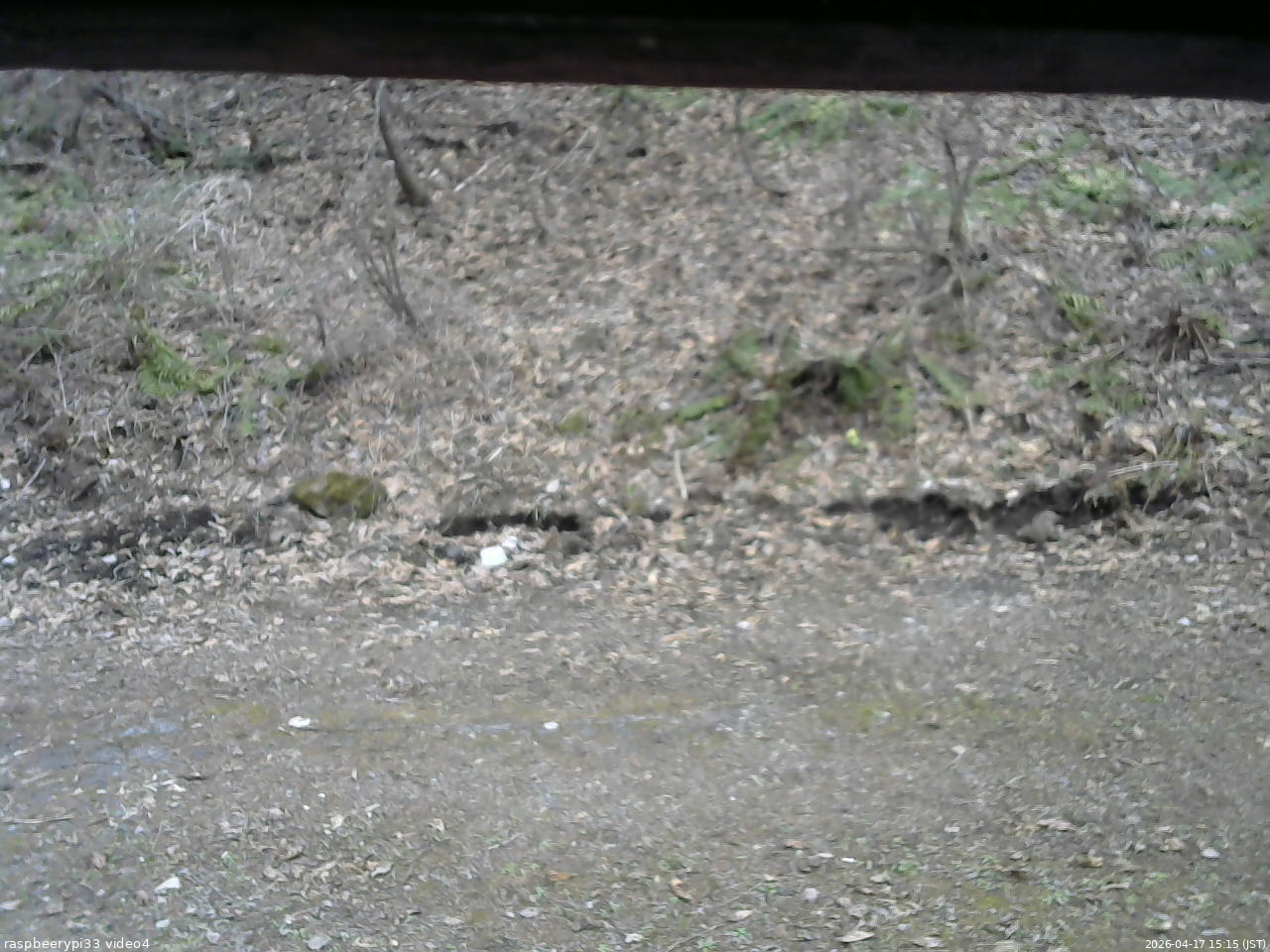 長野県菅平高原 ゆたか山荘 東側(坂下) 2026/04/17 15:15