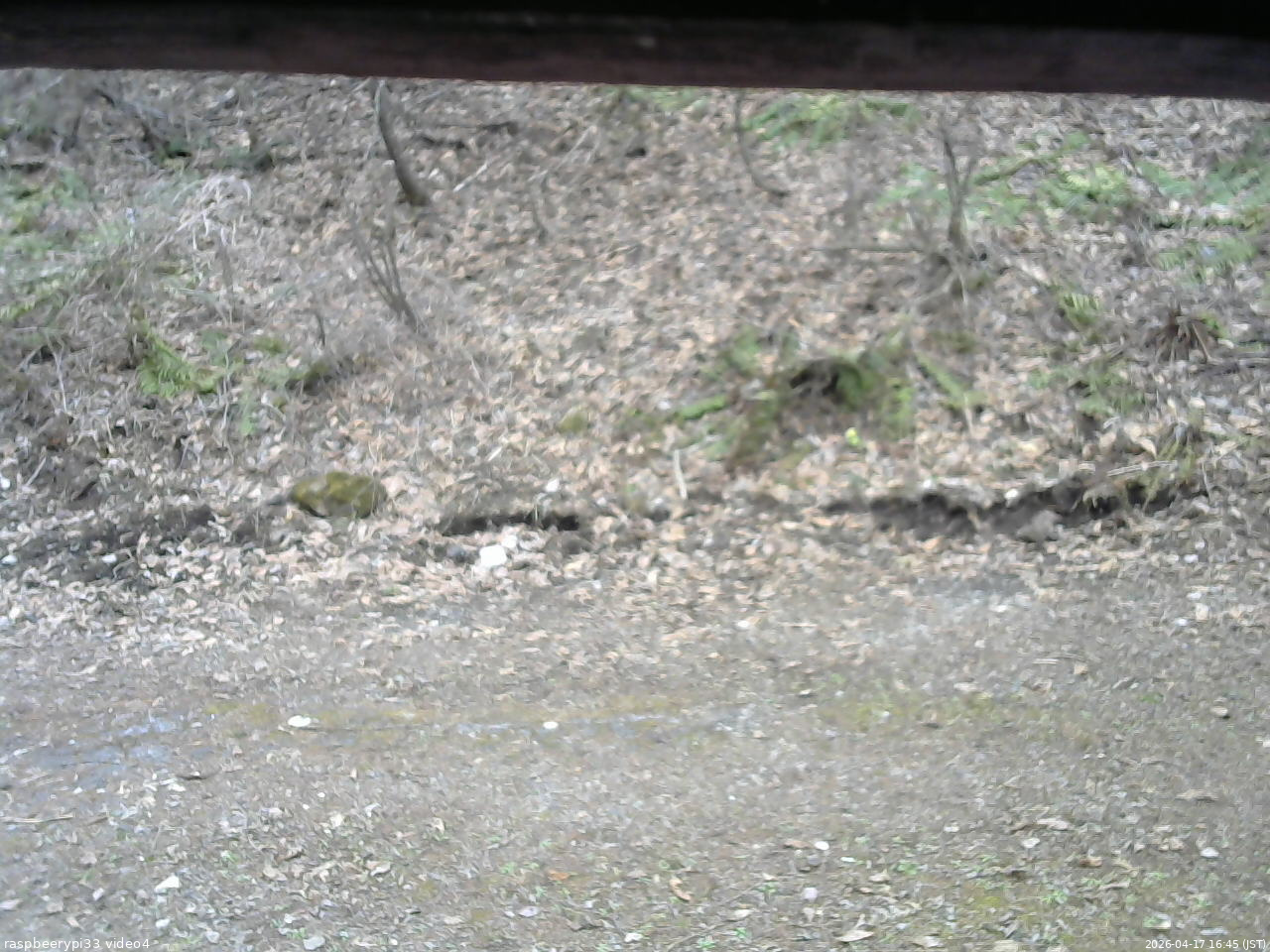 長野県菅平高原 ゆたか山荘 東側(坂下) 2026/04/17 16:45